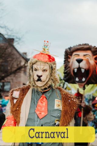 Naar de pagina carnaval