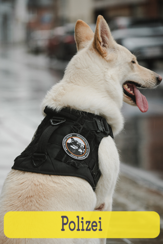 Polizei
