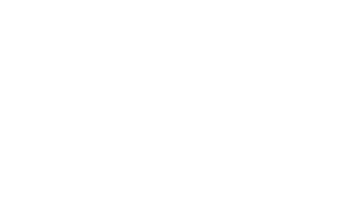Partner 15th Wing
