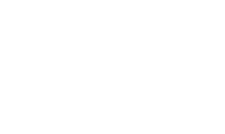 Partner BVV