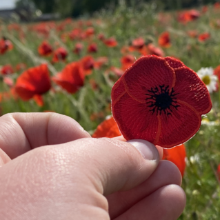 Week van de vrijwilliger 