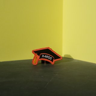 Badge school