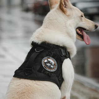 Politie badges honden K9