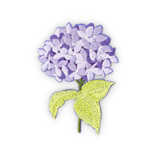 Hortensia paars