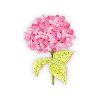 Hortensia roze